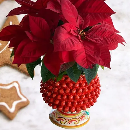 Bed and Breakfast Alludo