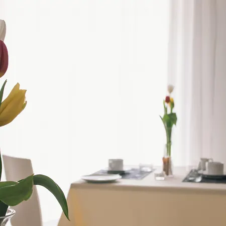 Bed and Breakfast Alludo